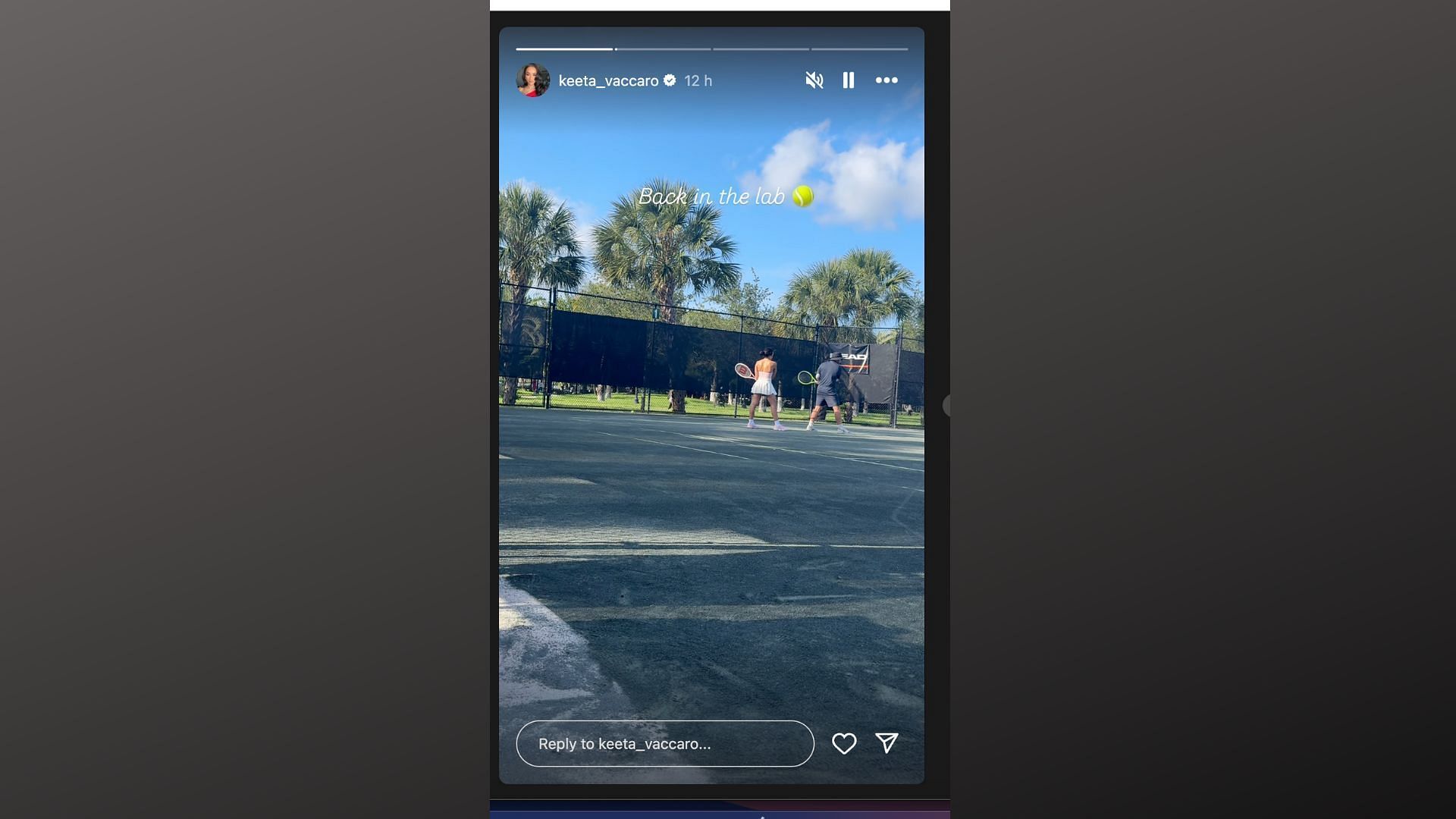 Tyreek Hill's wife Keeta Vaccaro's IG story